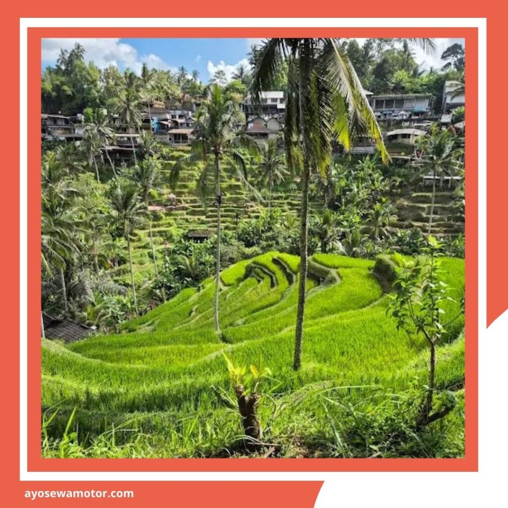 Itinerary Bali 3 Hari 2 Malam Liburan Makin Seru