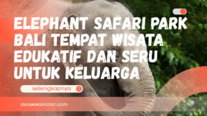 Ilustrasi elephant safari park bali
